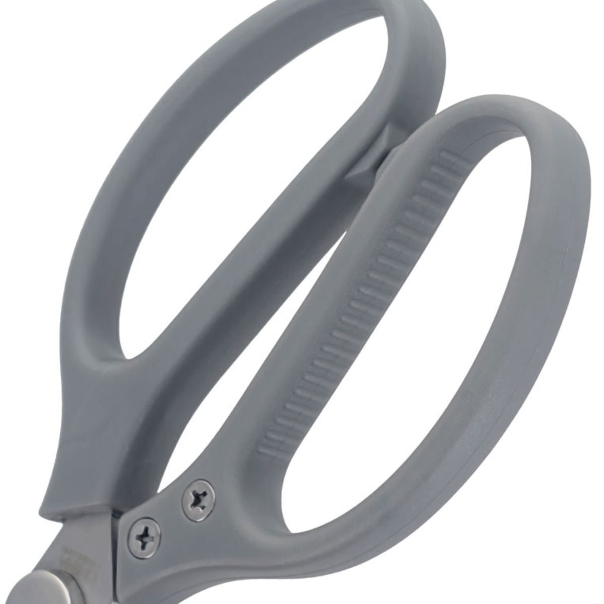 2 Pack Beille 8 Inch Stainless Steel Scissors, Break Apart Kitchen Shears, Grey