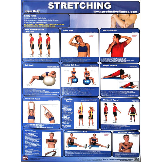 Upper Body Stretching Exercises non-laminated poster from Productive Fitness Series