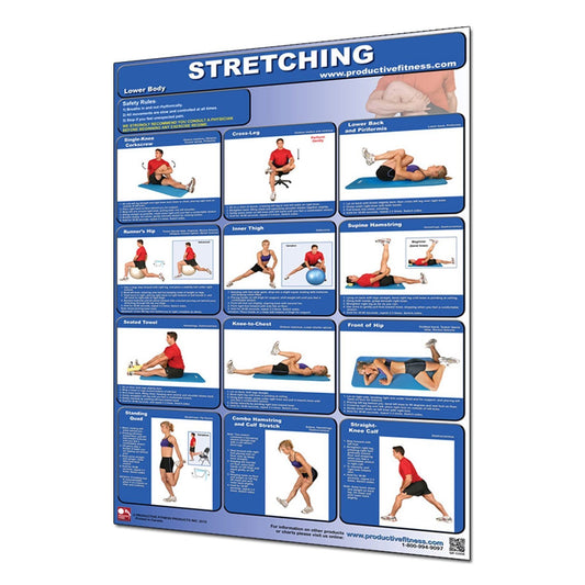 Productive Fitness Poster Series Lower Body Stretching Exercises Non-Laminated, view 2