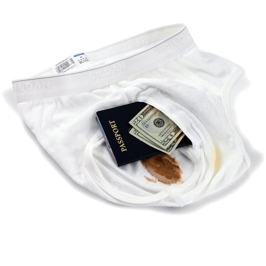 Brief Safe diversion safe for travel security and hidden home storage