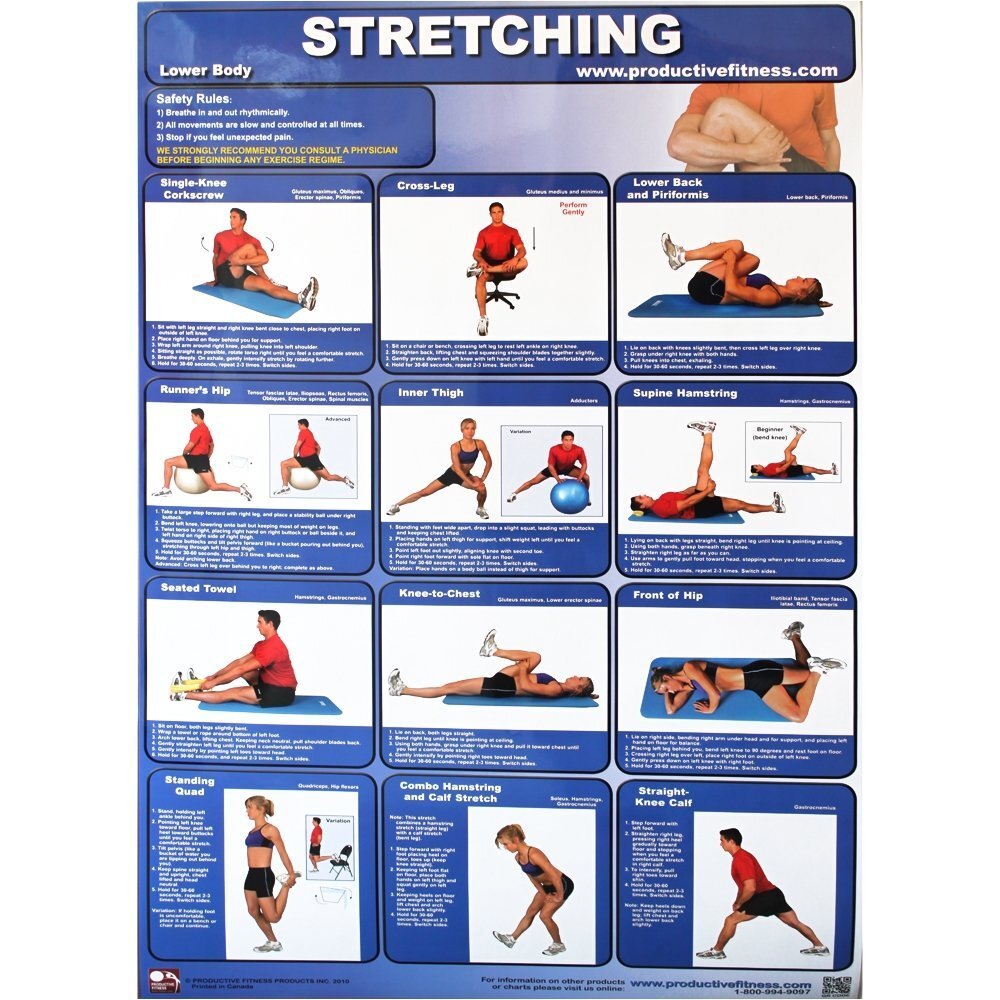 Productive Fitness lower body stretching exercises poster, non-laminated