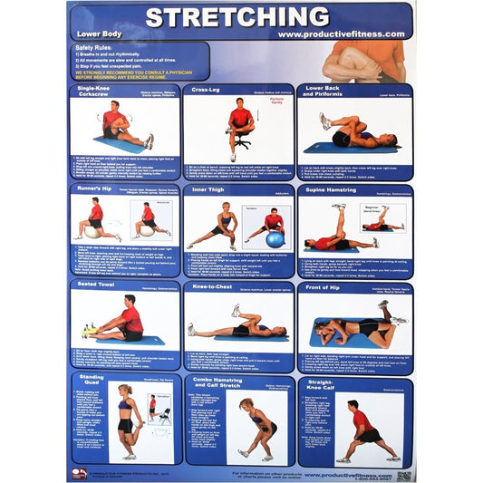 Productive Fitness lower body stretching exercises poster, non-laminated